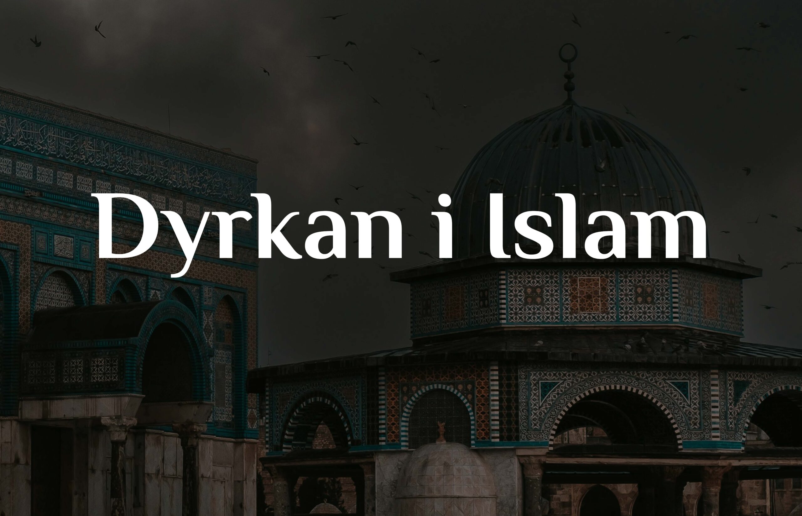 Dyrkan i islam
