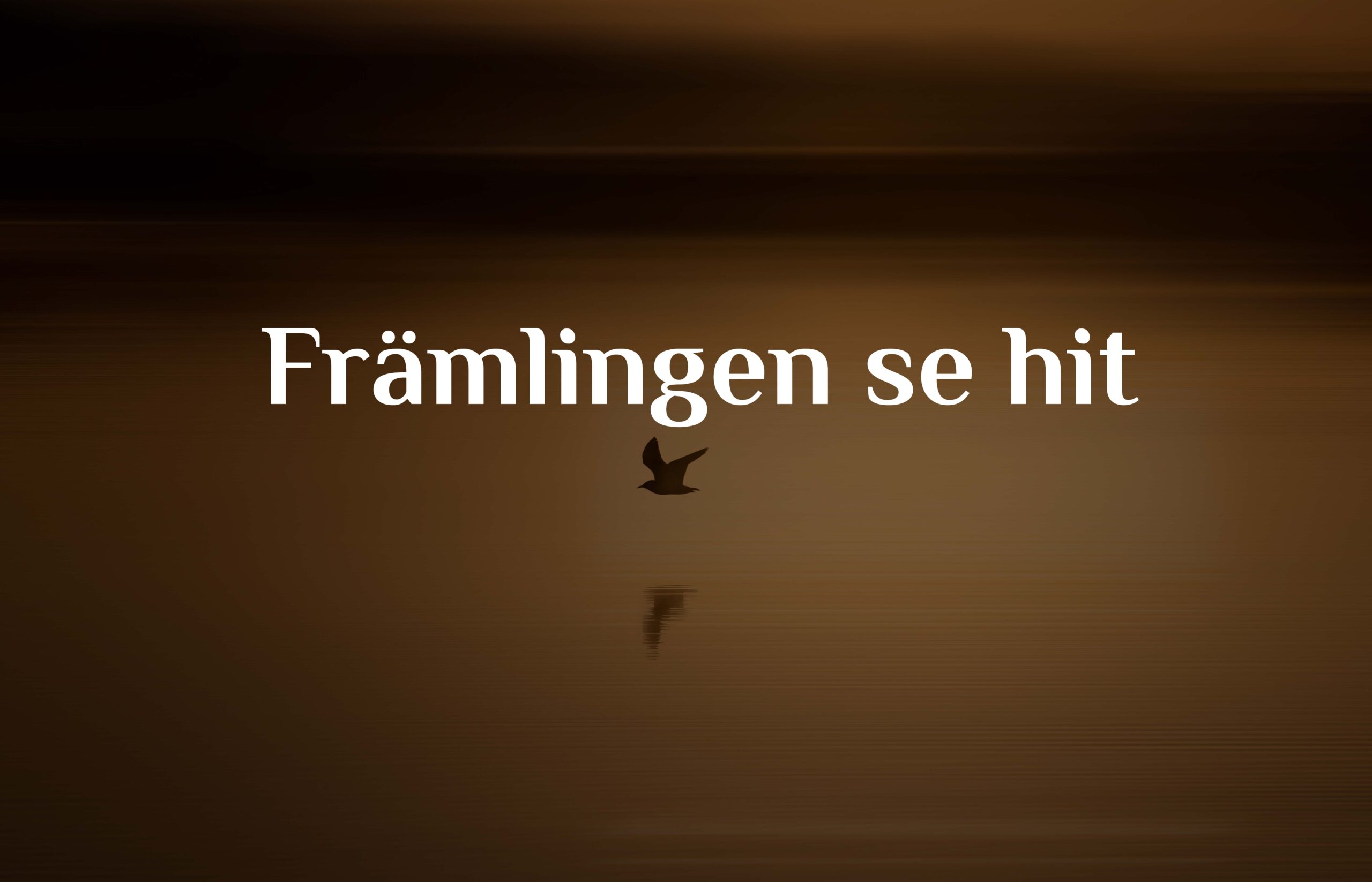 Främlingen se hit
