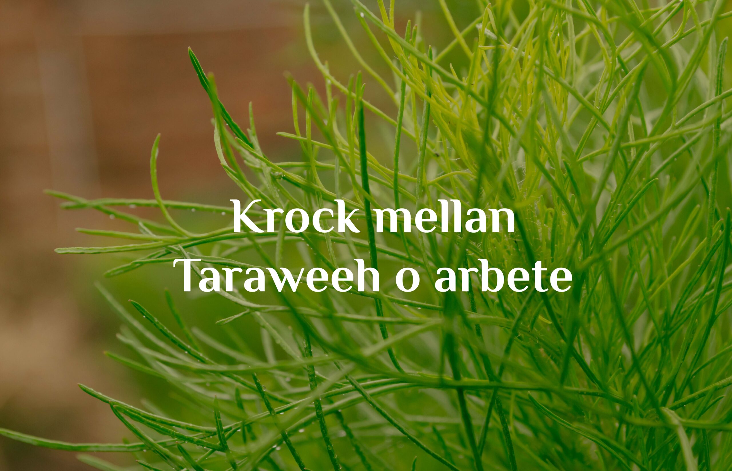 Krock mellan Taraweeh o arbete