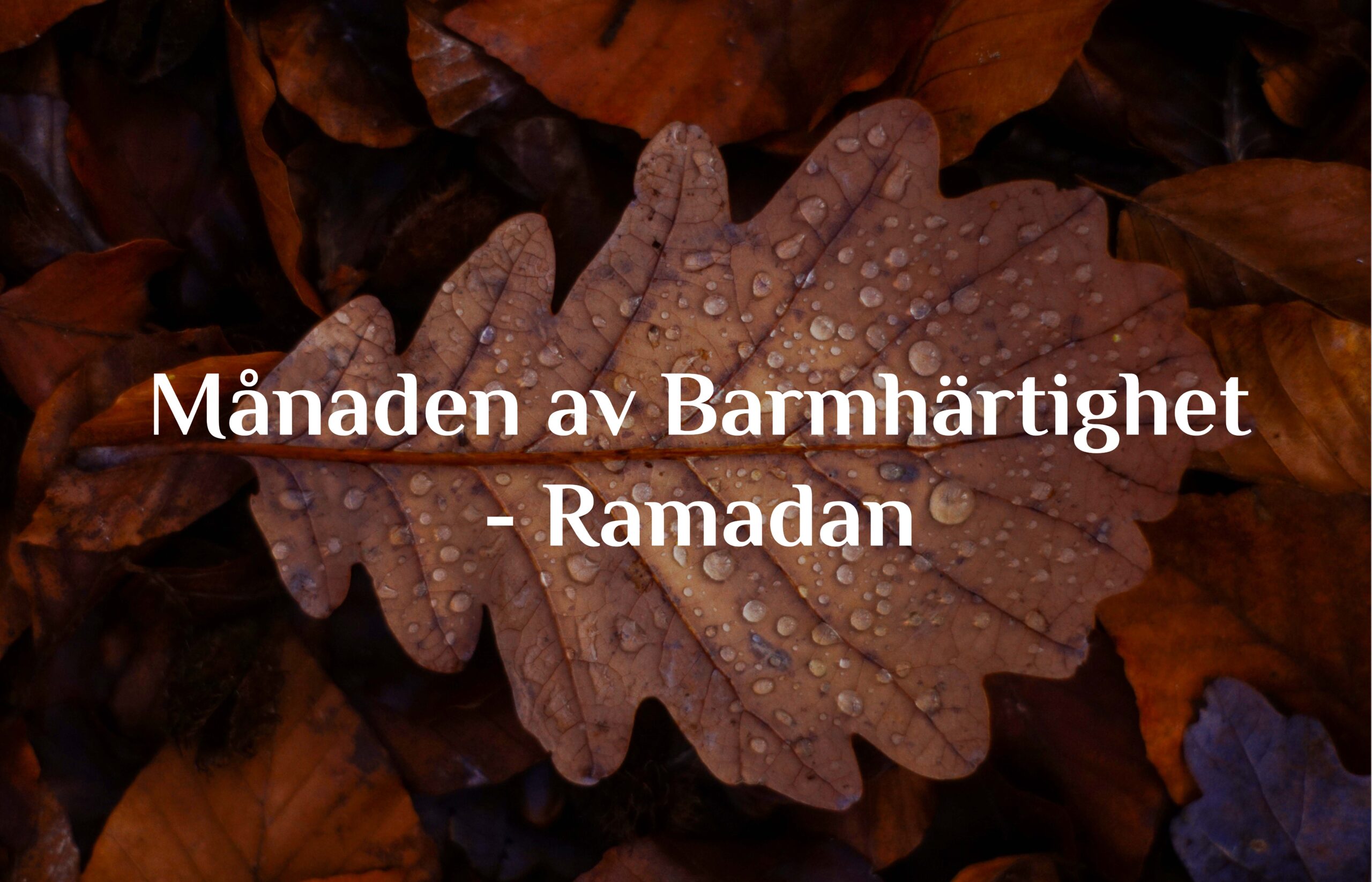 Ramadan – Månaden av Barmhärtighet