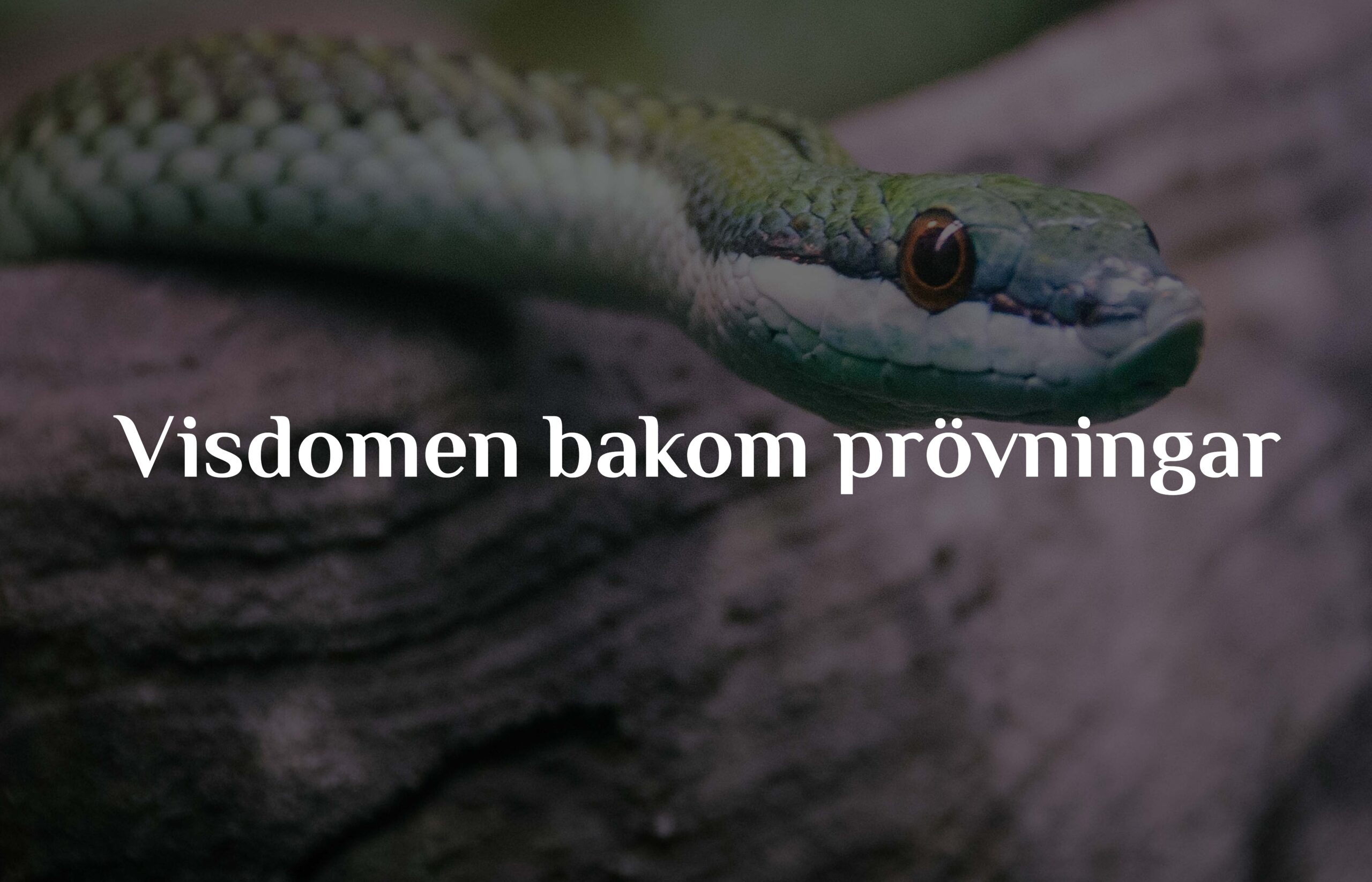 Visdomen bakom prövningar