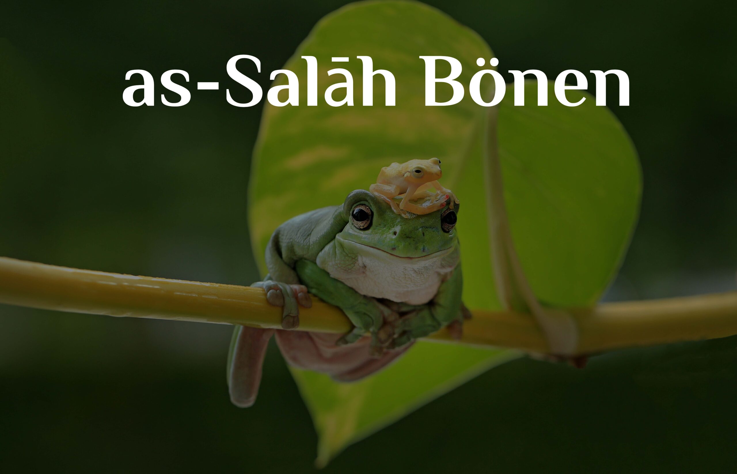 as-Salāh (Bönen)