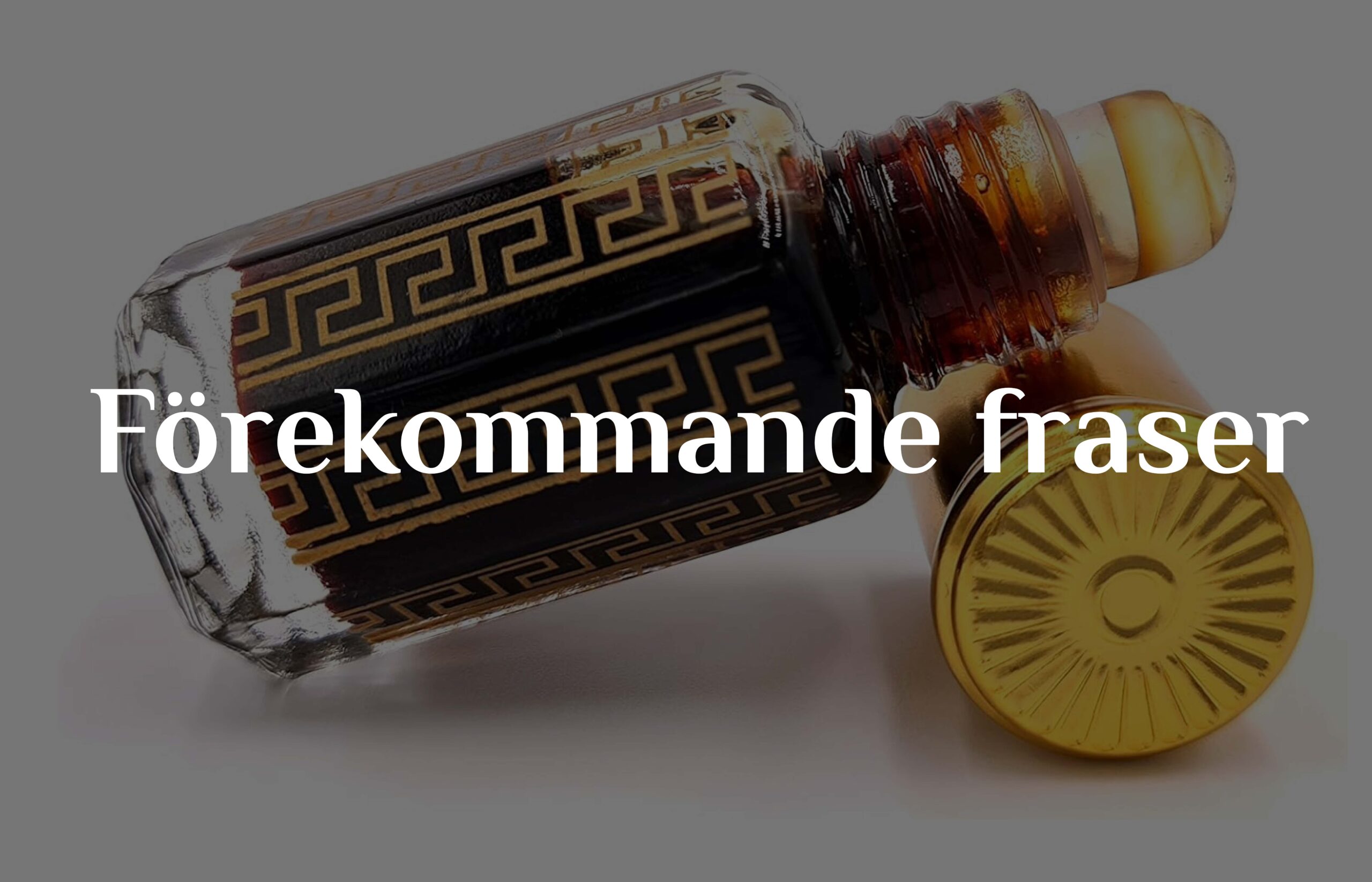 Förklaring till förekommande fraser