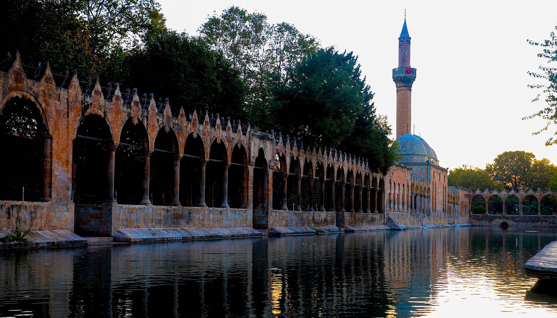 Mu’awiyah bin Abi Sufyan